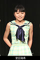 Thumbnail for version as of 23:35, 1 April 2012