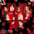 TWICE - Perfect World ONCE JAPAN.jpg