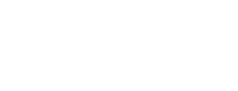 File:amini logo2.png