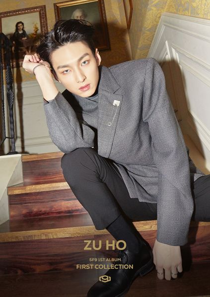 File:Zuho - FIRST COLLECTION promo.jpg