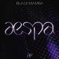 aespa - Black Mamba.jpg