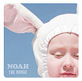 NOAH-B.jpg