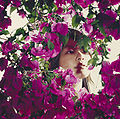 Thumbnail for version as of 05:04, 26 July 2009