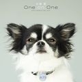 Otsuka Ai One on One Collaboration.jpg